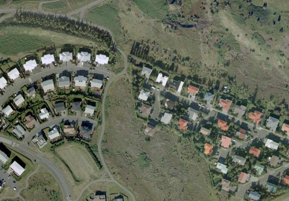 Selhryggur Selhryggur